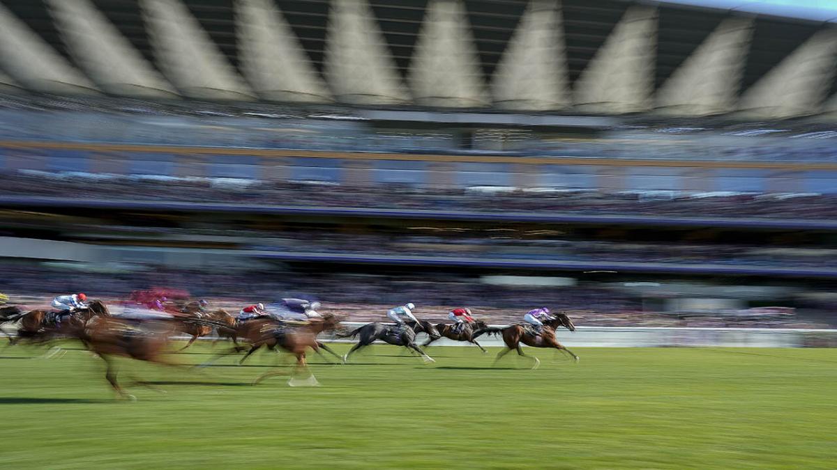 Ascot races 